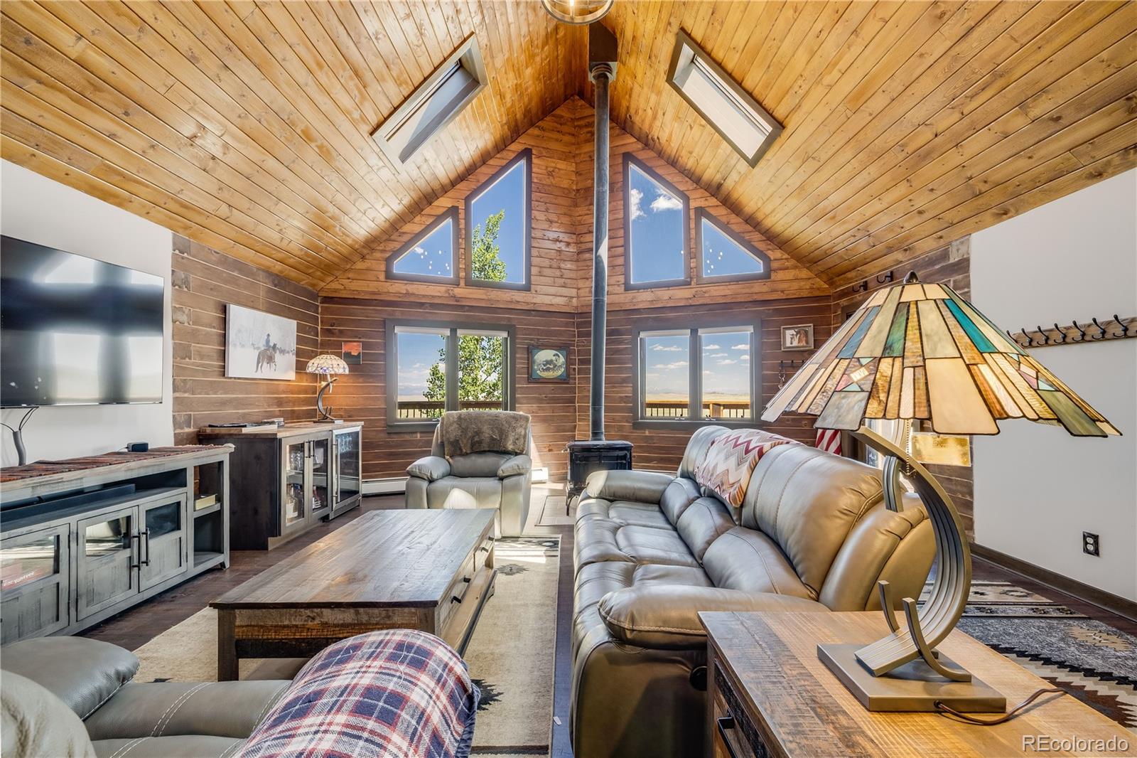 MLS Image #5 for 235  aspen lane,hartsel, Colorado