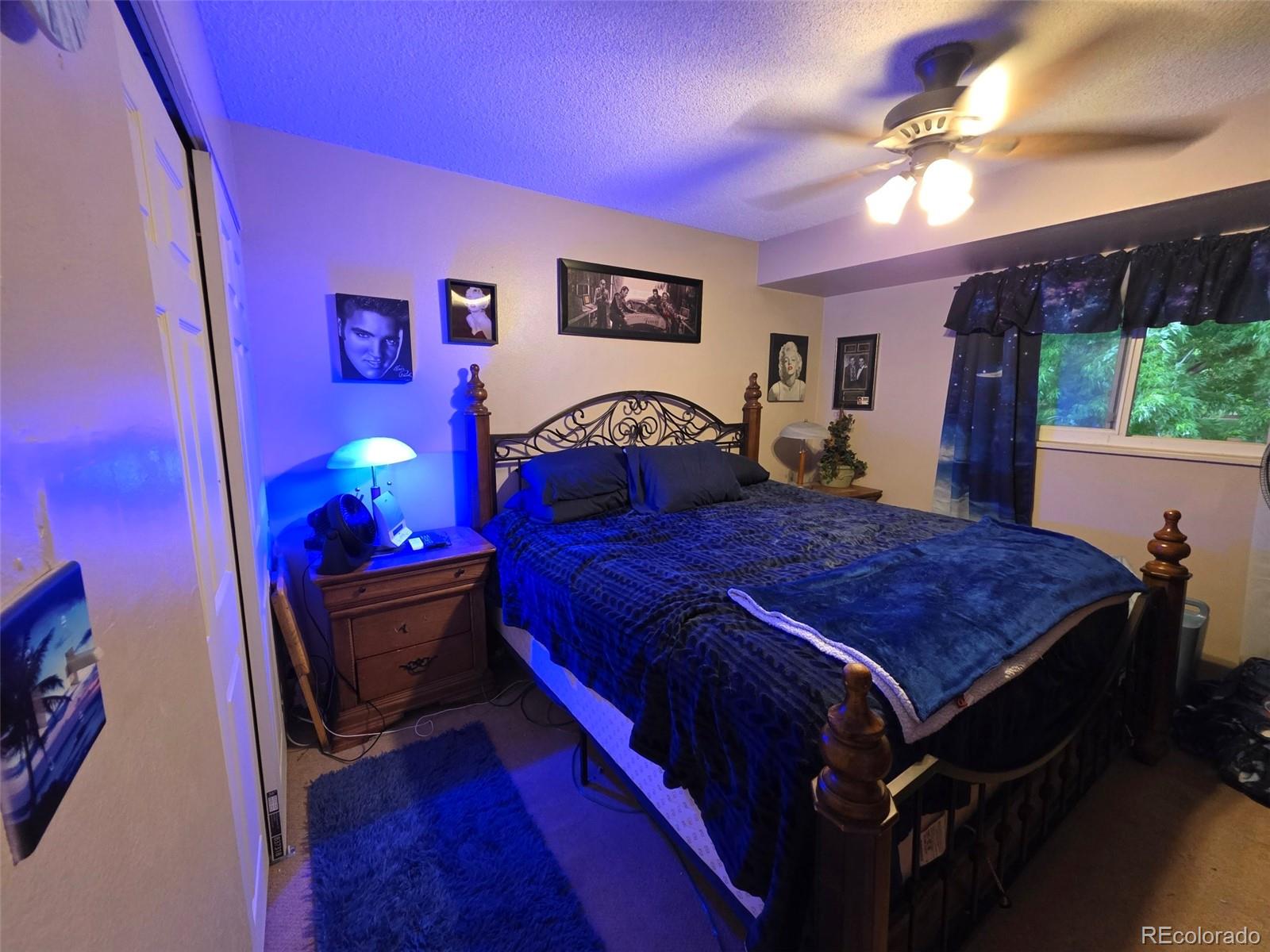 MLS Image #27 for 604 s xenon court,lakewood, Colorado