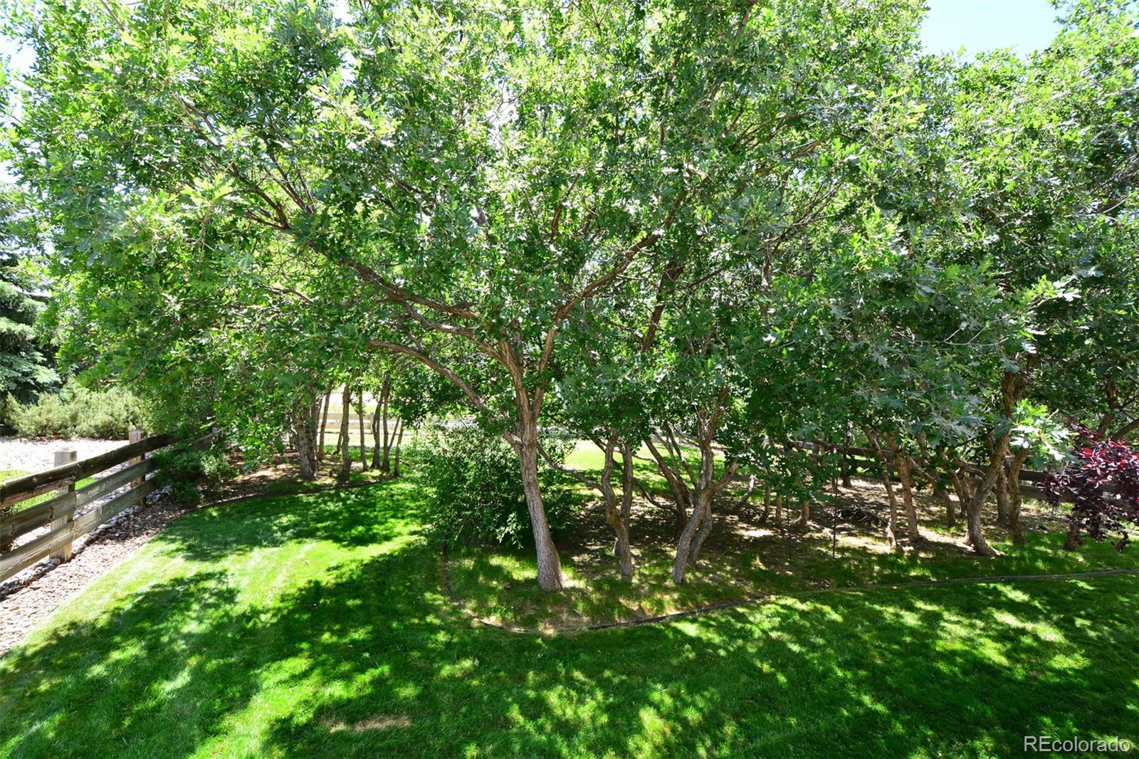 MLS Image #33 for 1135  mount estes drive,colorado springs, Colorado
