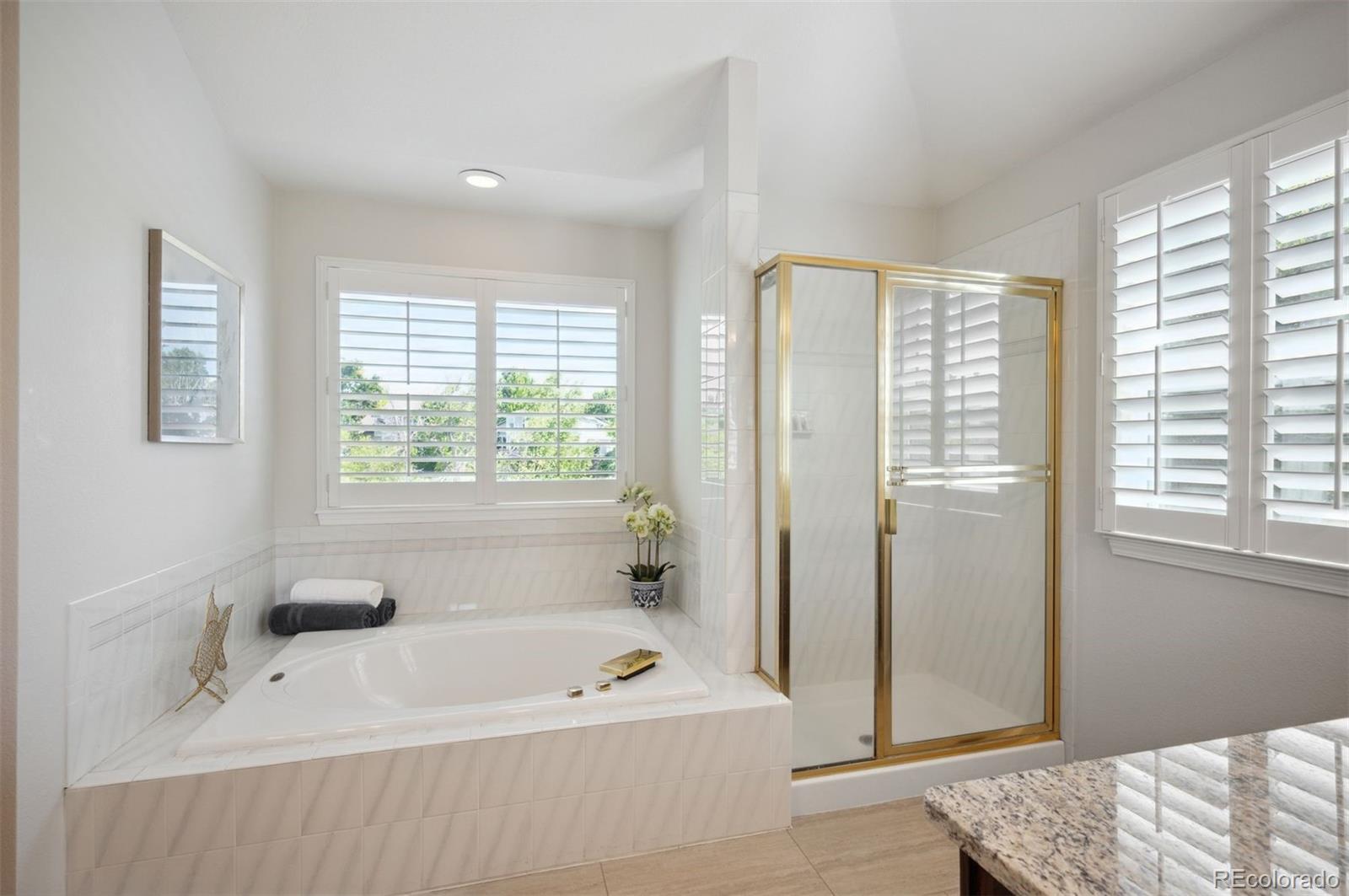 MLS Image #24 for 16690  amberstone way,parker, Colorado
