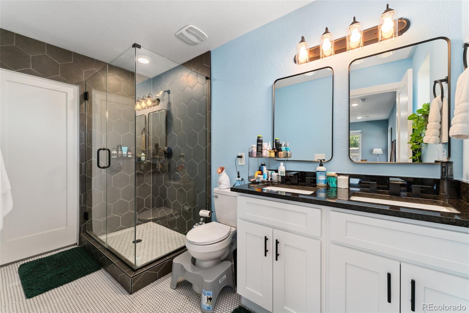 MLS Image #27 for 550 s raleigh street,denver, Colorado