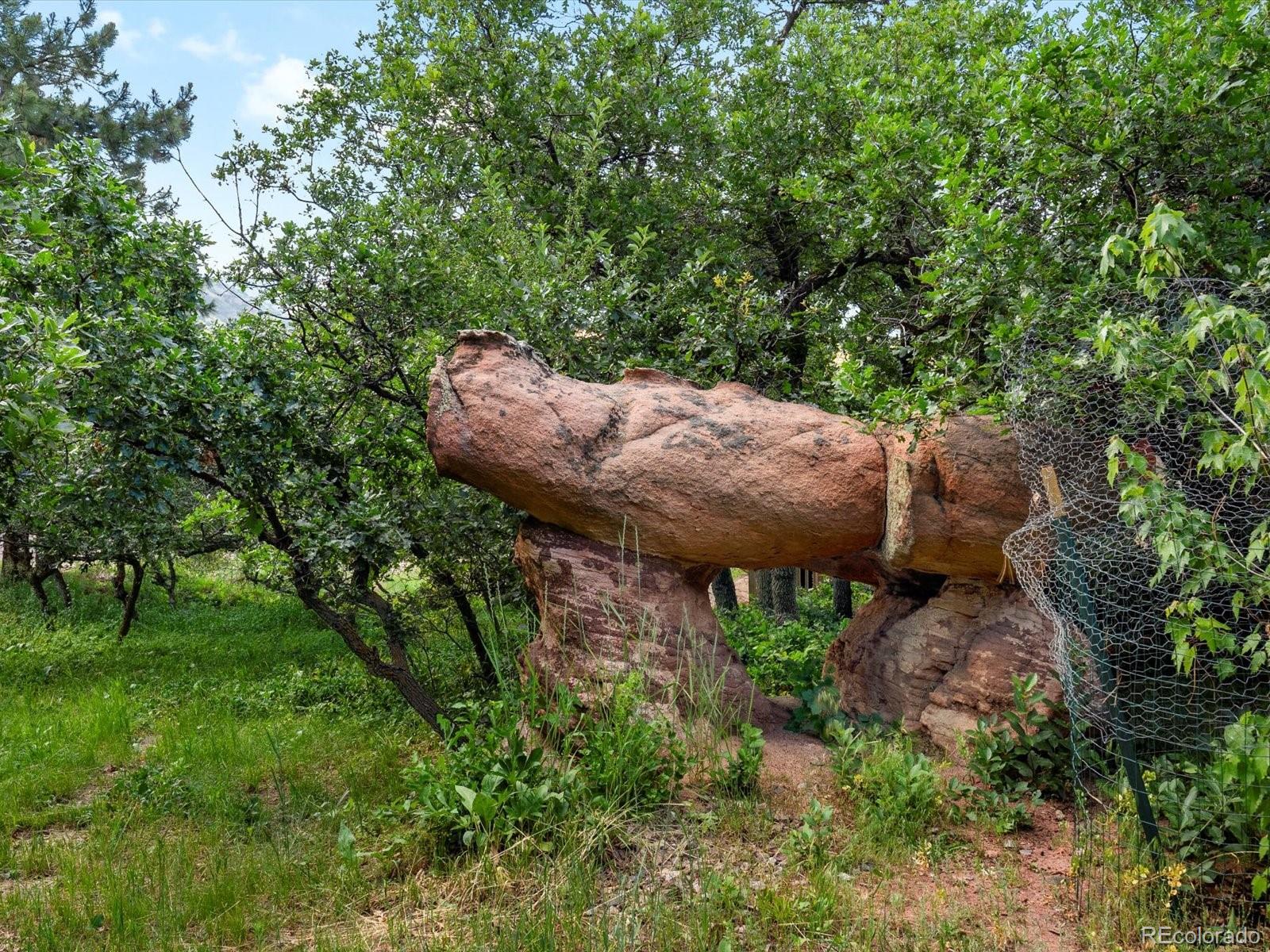 MLS Image #40 for 16465  wild berry road,morrison, Colorado