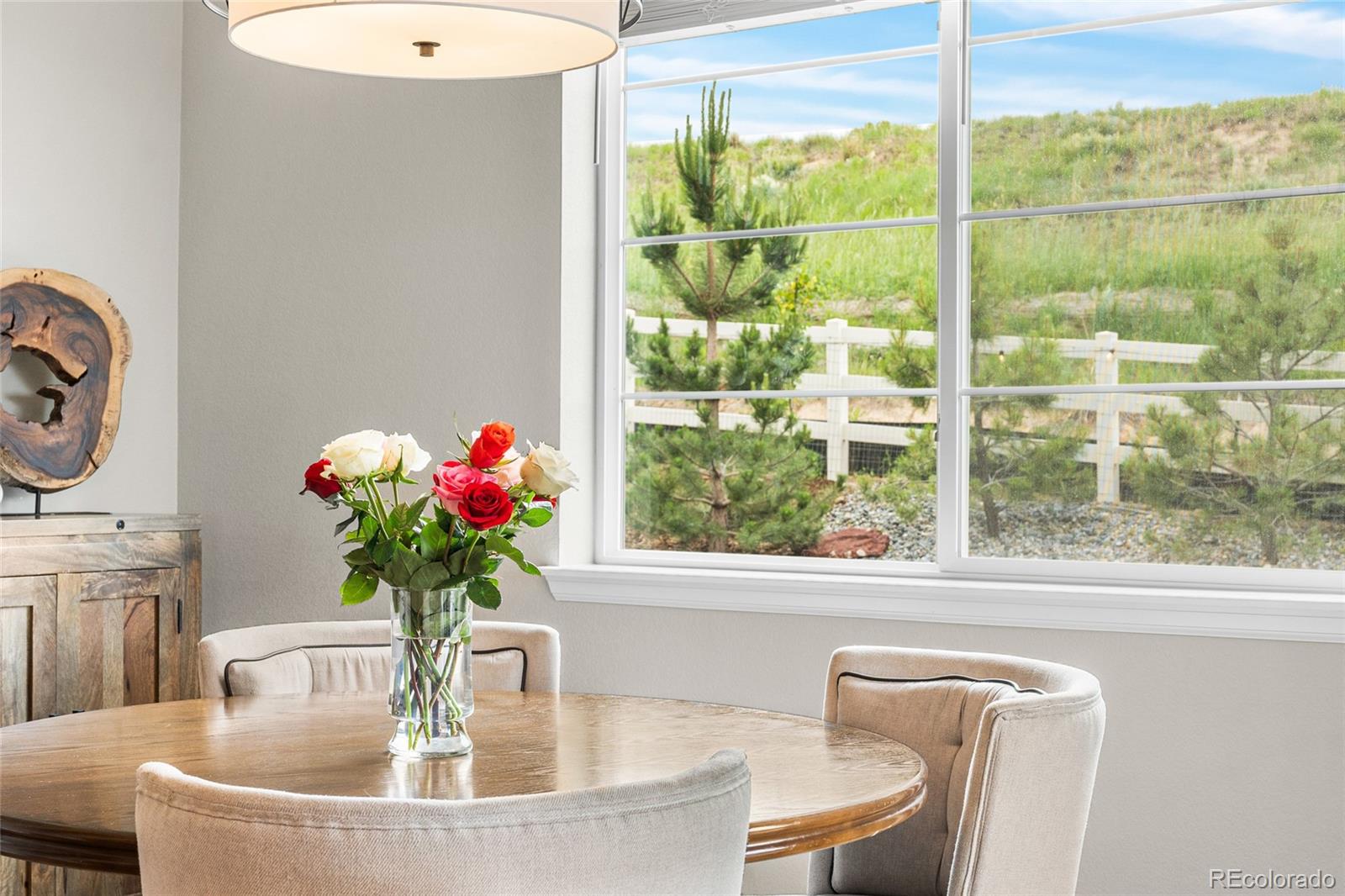MLS Image #16 for 4213  hickory oaks street,castle rock, Colorado