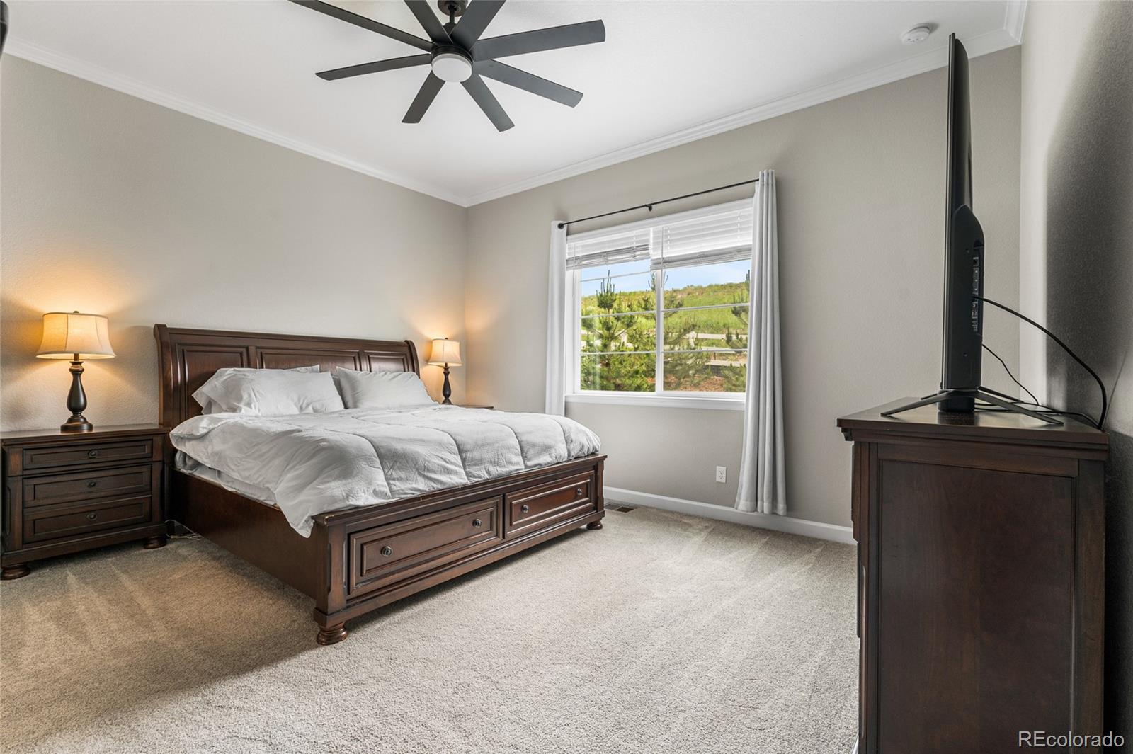 MLS Image #18 for 4213  hickory oaks street,castle rock, Colorado