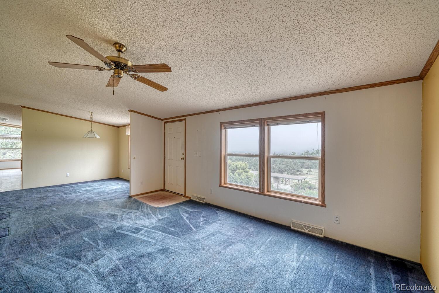 MLS Image #3 for 3063  autumn creek drive,canon city, Colorado