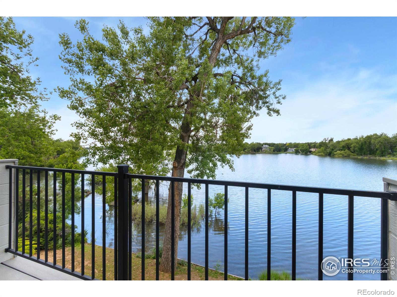 MLS Image #12 for 551  spin drift court,fort collins, Colorado