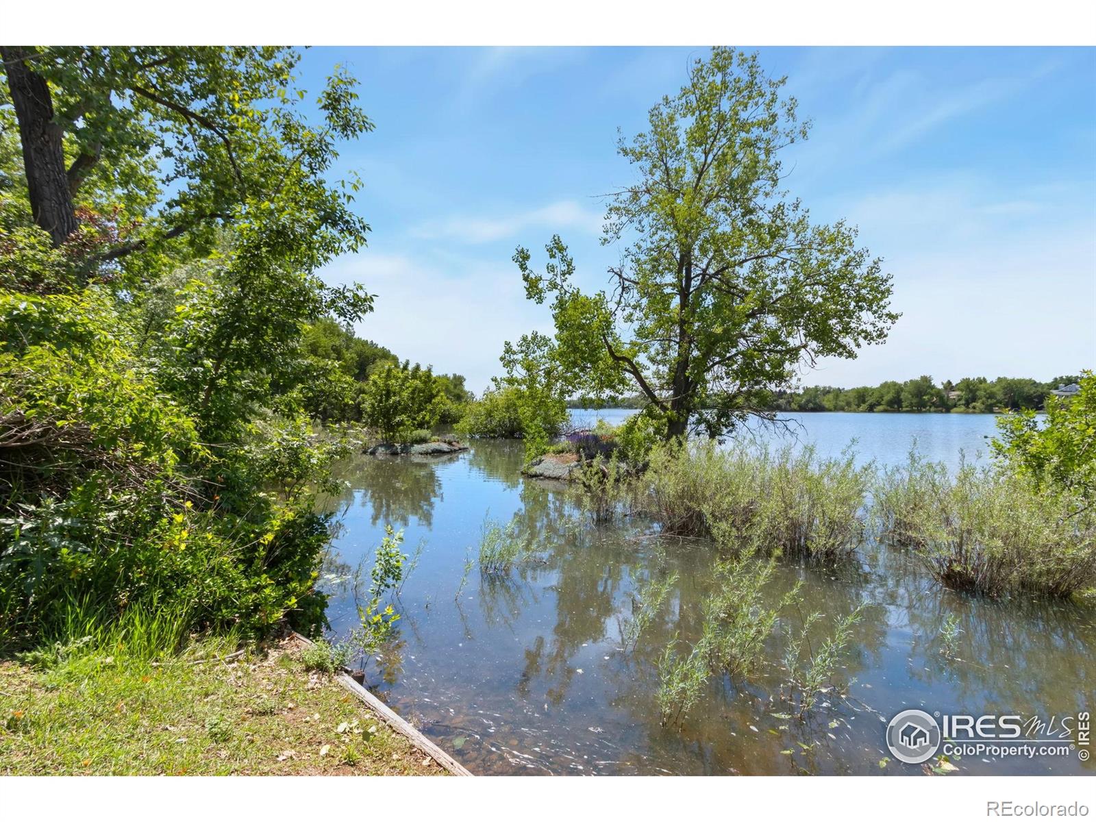 MLS Image #27 for 551  spin drift court,fort collins, Colorado