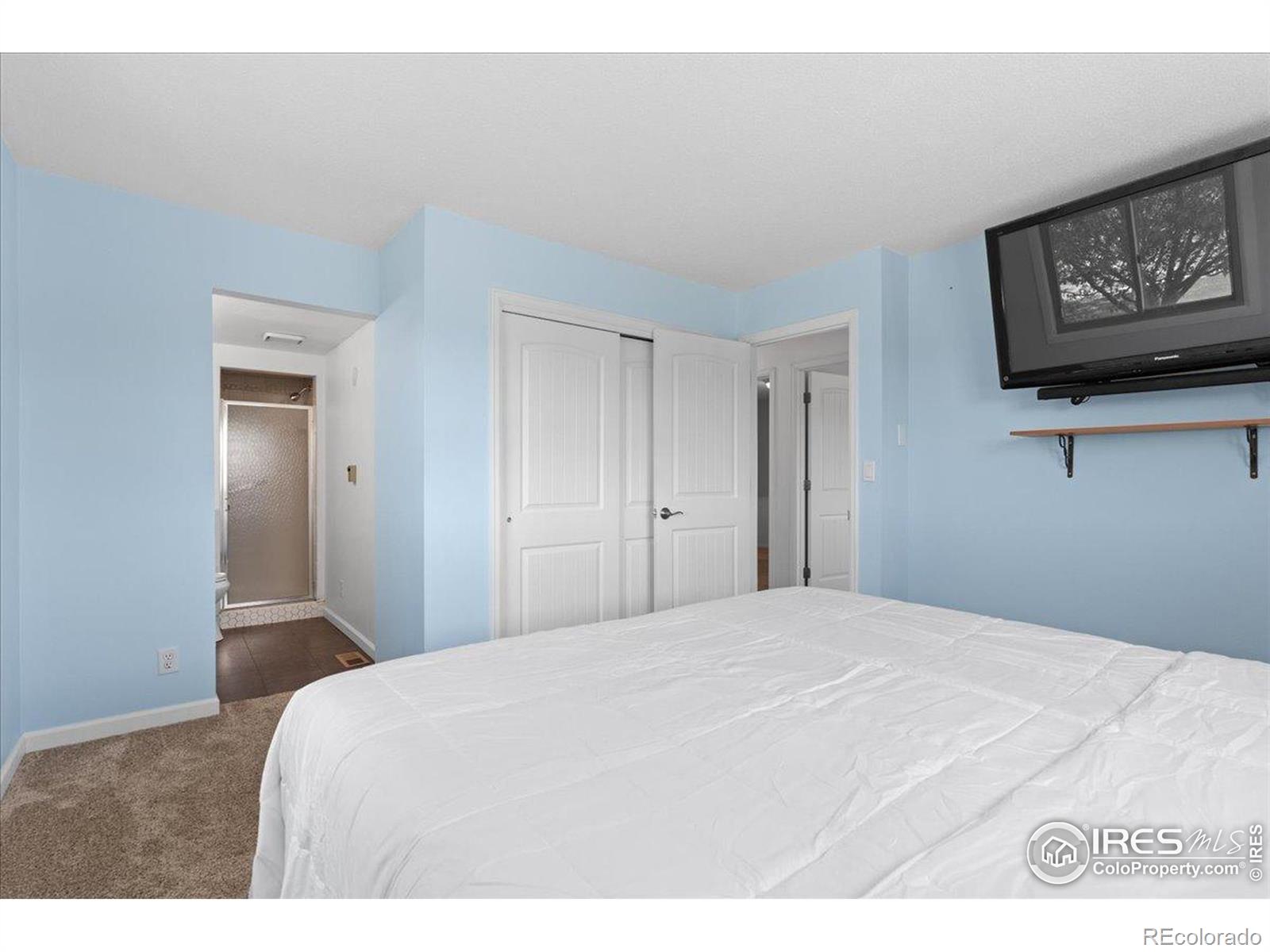 MLS Image #18 for 3400  erving court,berthoud, Colorado