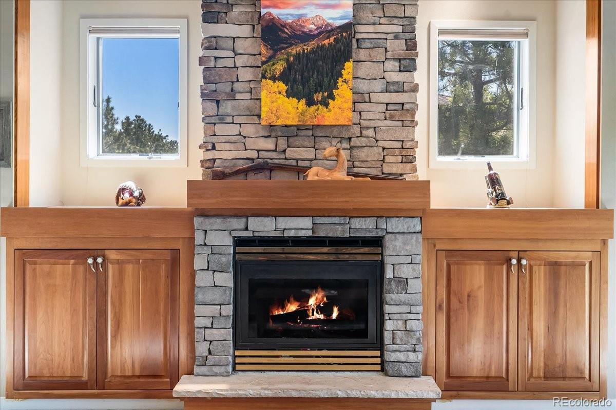 MLS Image #10 for 378  fox acres drive,red feather lakes, Colorado