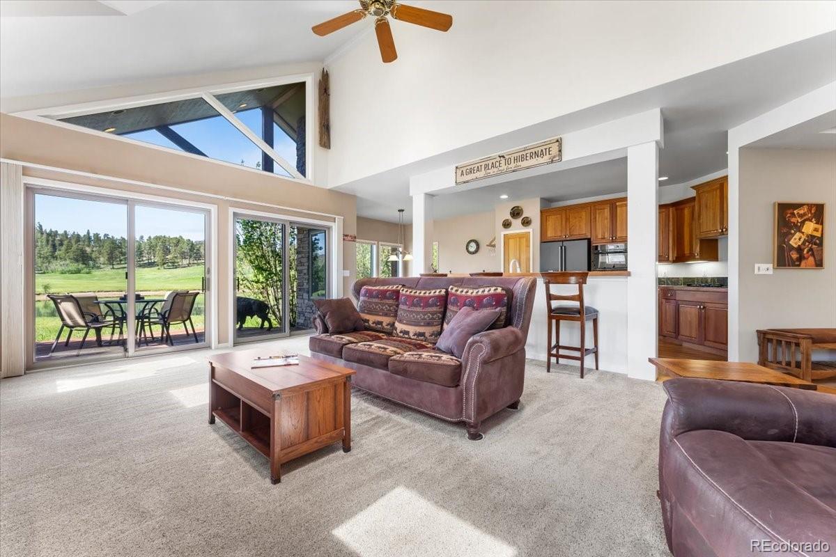 MLS Image #11 for 378  fox acres drive,red feather lakes, Colorado