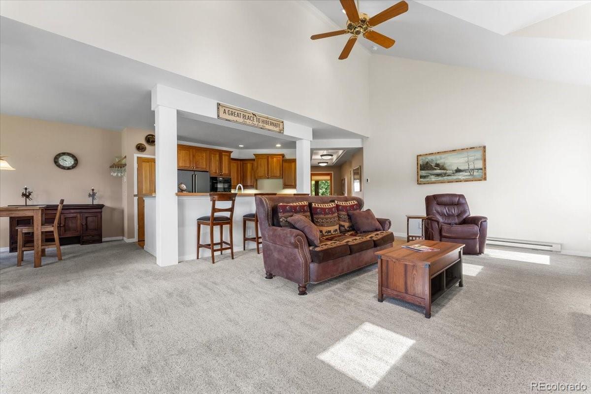 MLS Image #12 for 378  fox acres drive,red feather lakes, Colorado