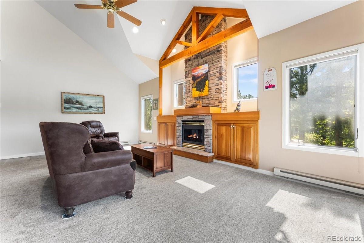 MLS Image #14 for 378  fox acres drive,red feather lakes, Colorado