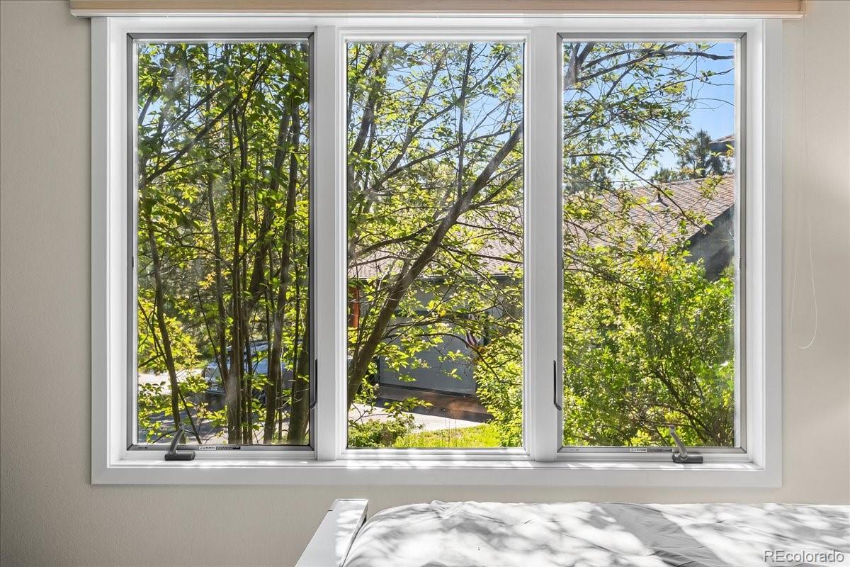 MLS Image #18 for 378  fox acres drive,red feather lakes, Colorado