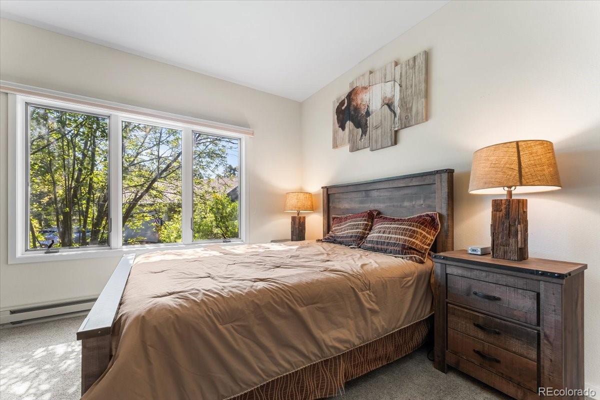 MLS Image #31 for 378  fox acres drive,red feather lakes, Colorado