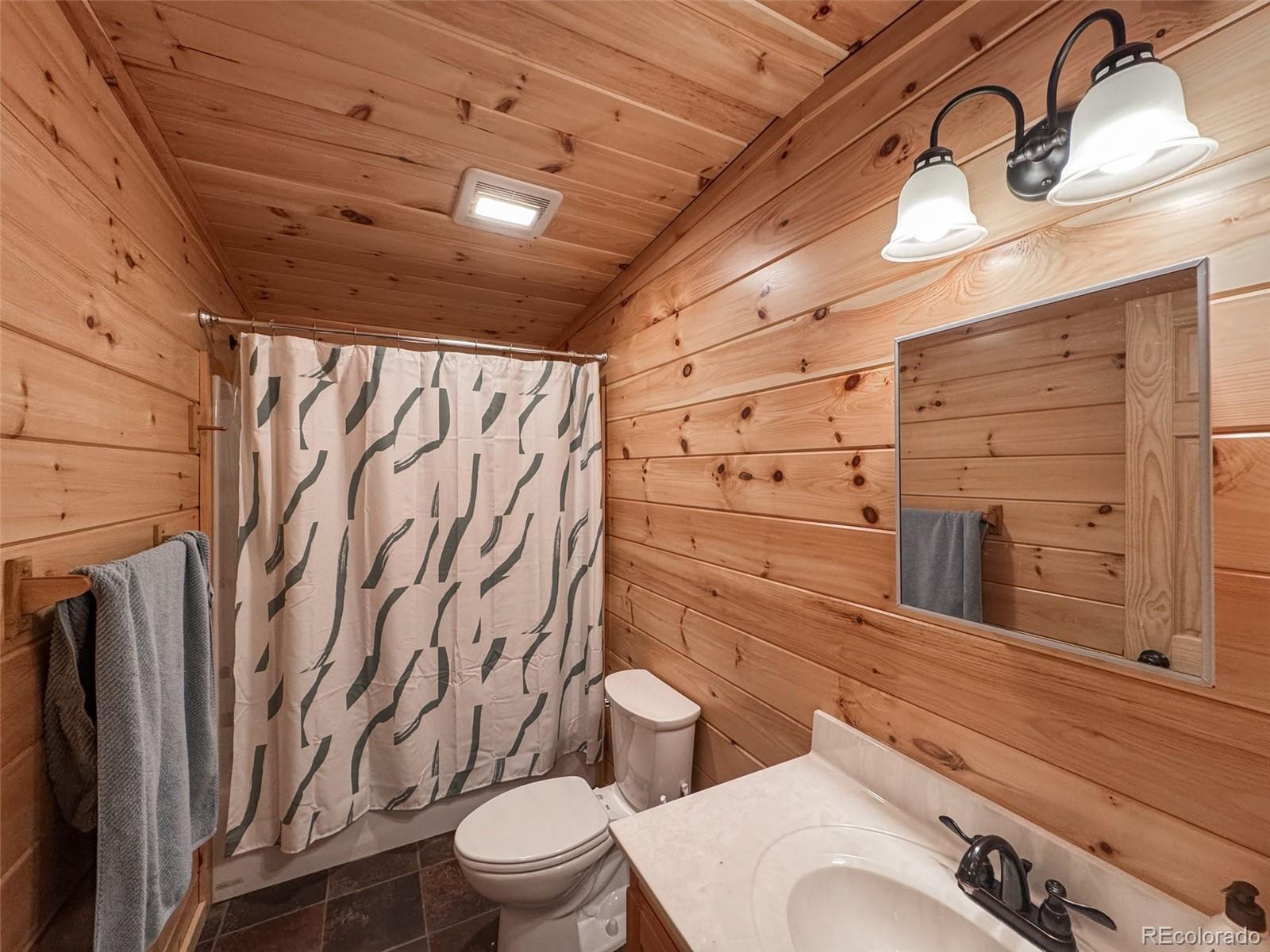 MLS Image #5 for 616 e 11th street,leadville, Colorado