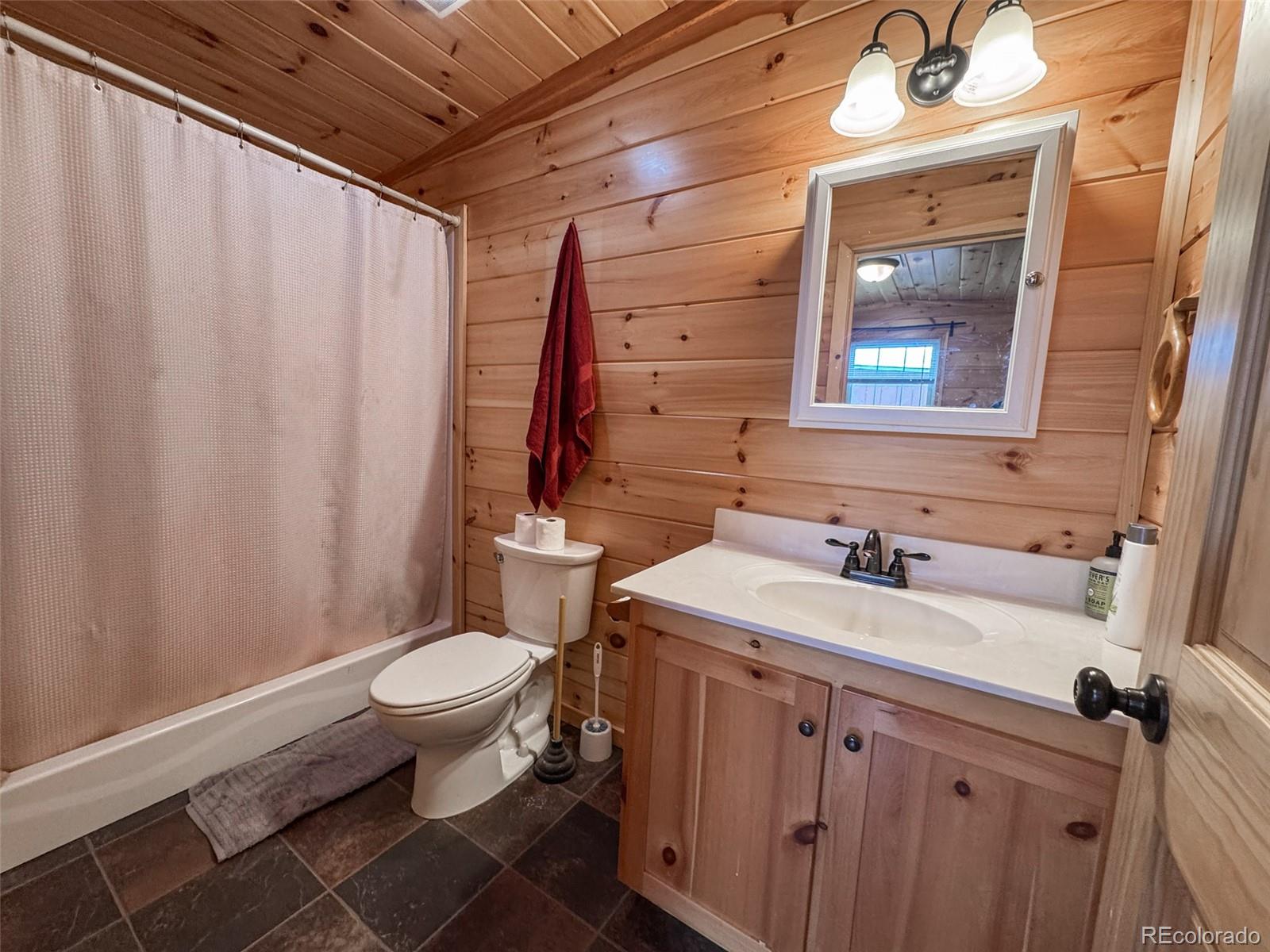 MLS Image #8 for 616 e 11th street,leadville, Colorado