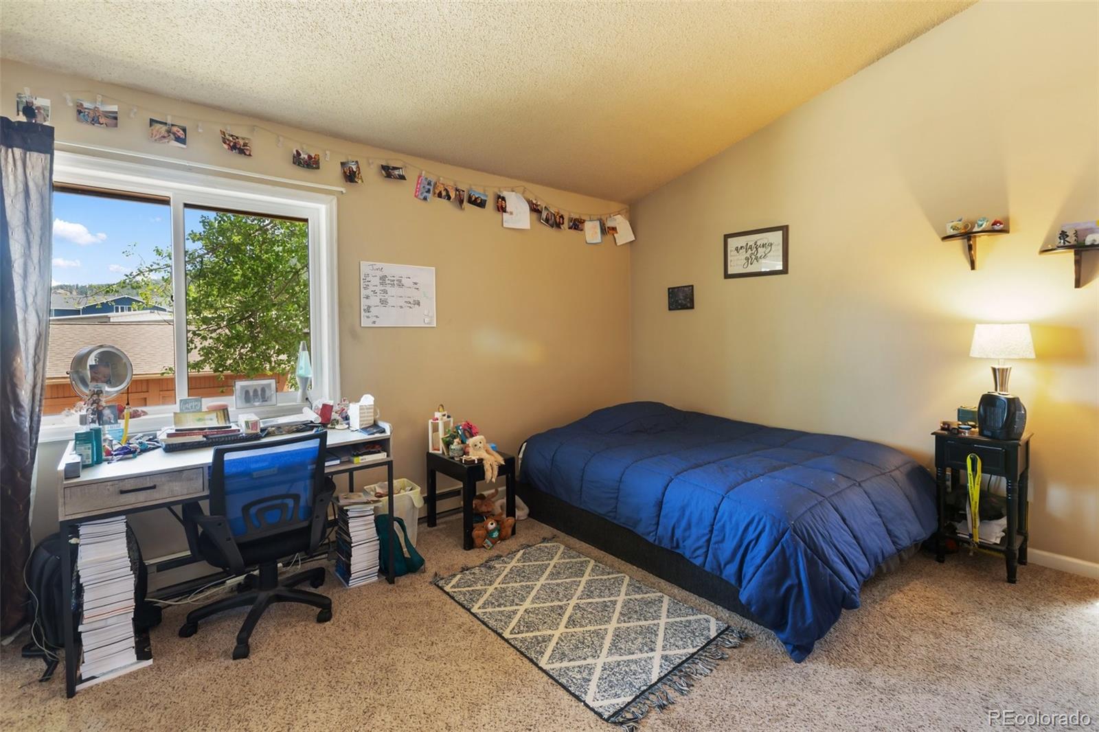 MLS Image #10 for 401  forest edge road,woodland park, Colorado
