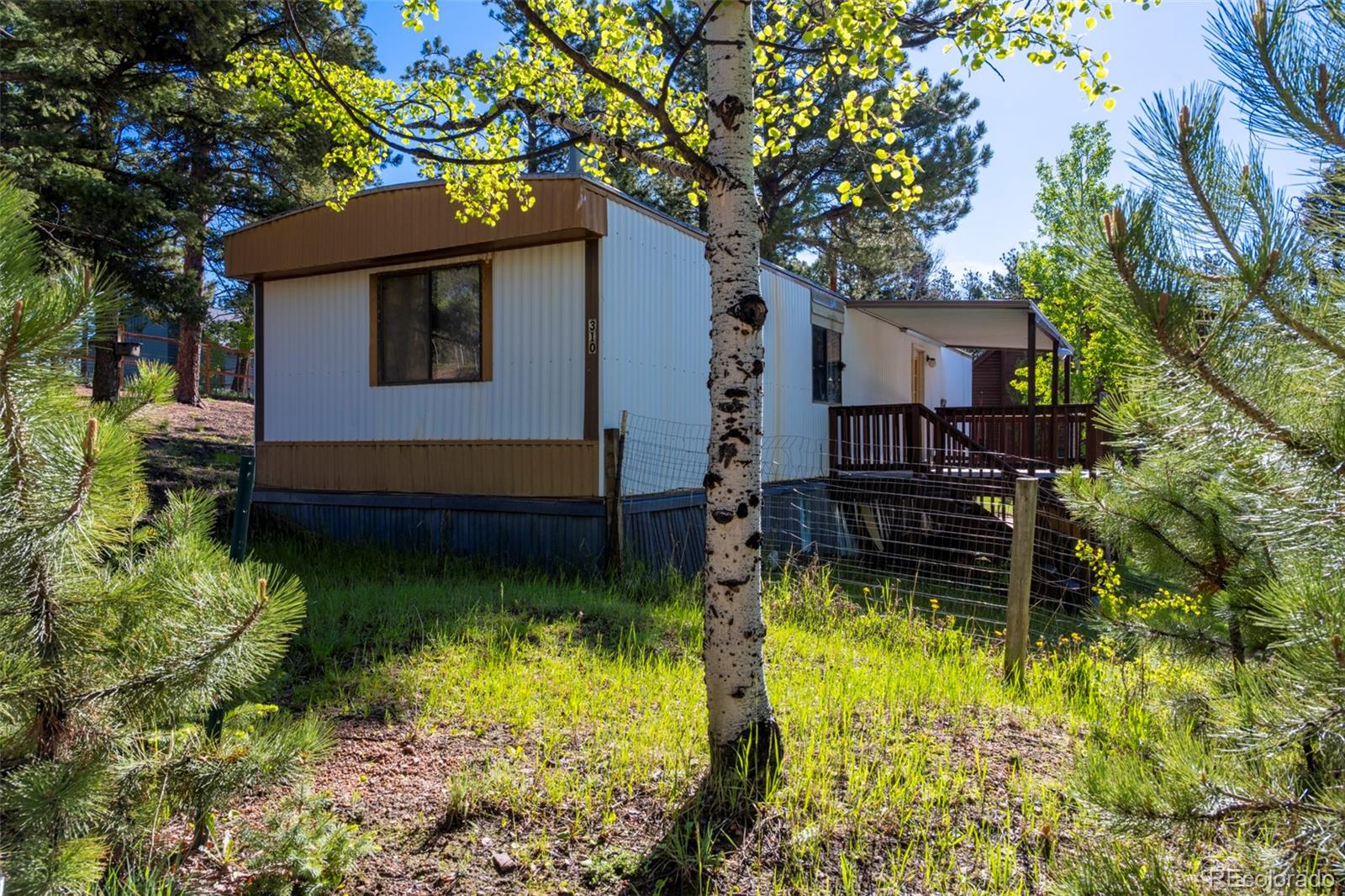 MLS Image #14 for 310  blossom road,woodland park, Colorado