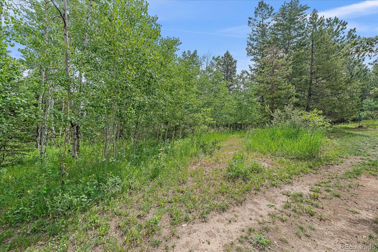 MLS Image #39 for 9745  hilldale drive,morrison, Colorado