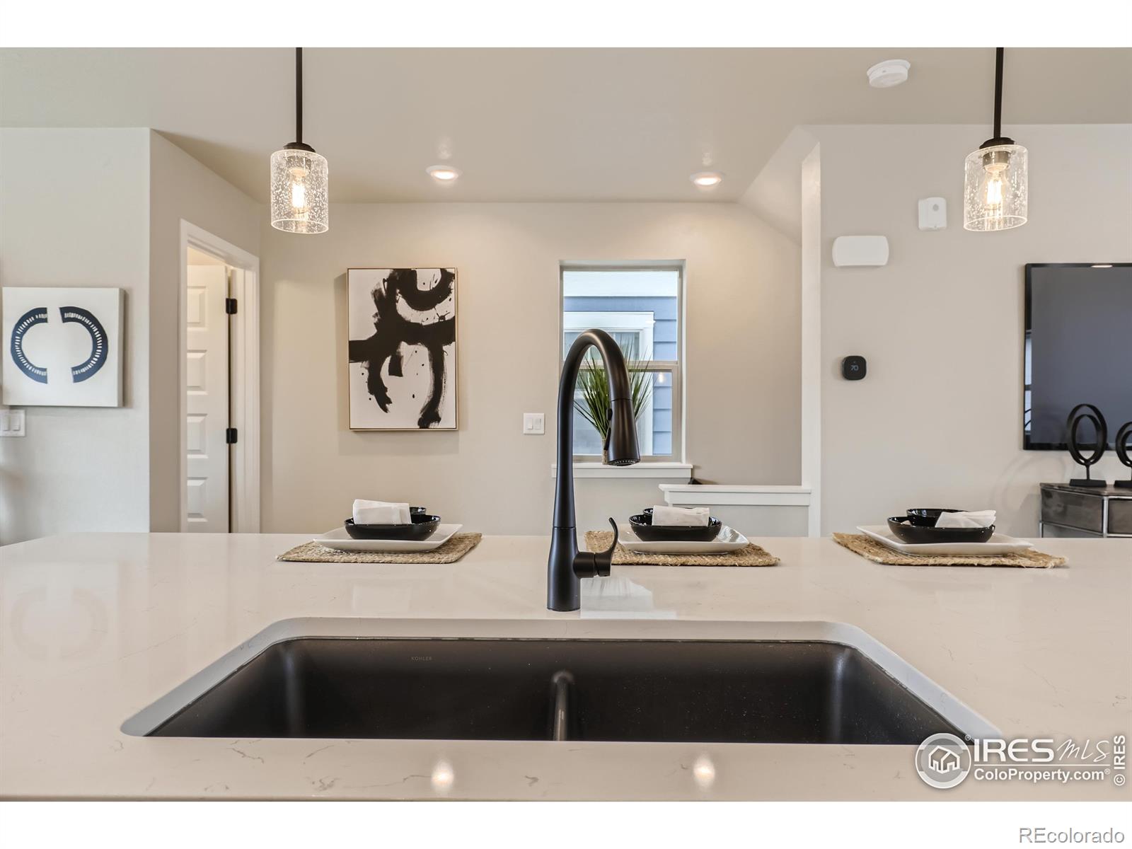 MLS Image #10 for 128 e douglas street,superior, Colorado