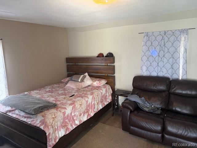 MLS Image #5 for 449  lowell boulevard,denver, Colorado