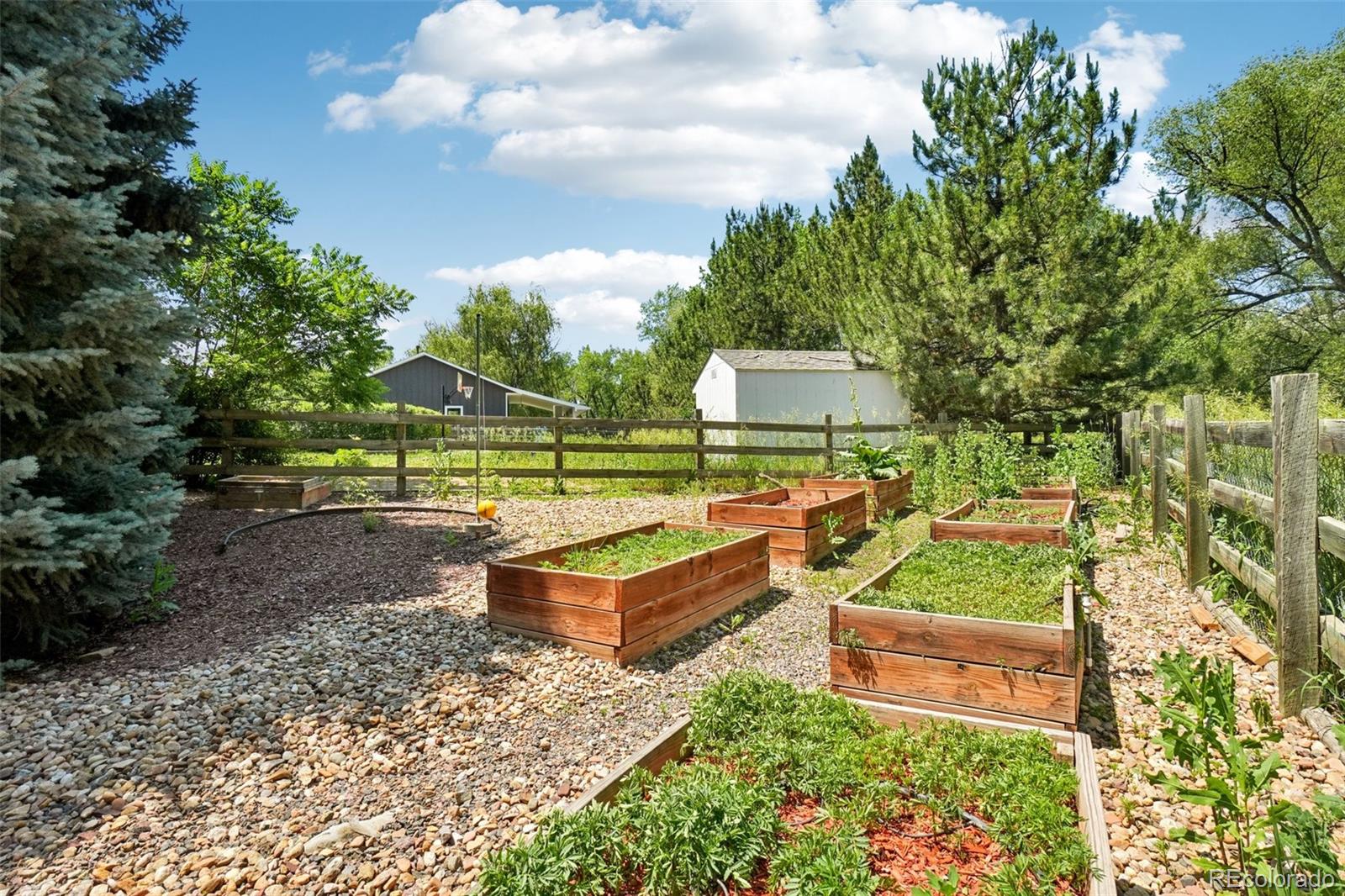 MLS Image #43 for 7999  centrebridge drive,niwot, Colorado