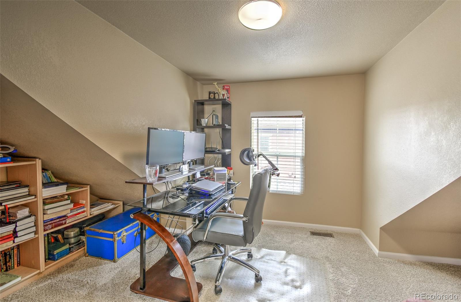 MLS Image #24 for 10550  ashfield street,highlands ranch, Colorado