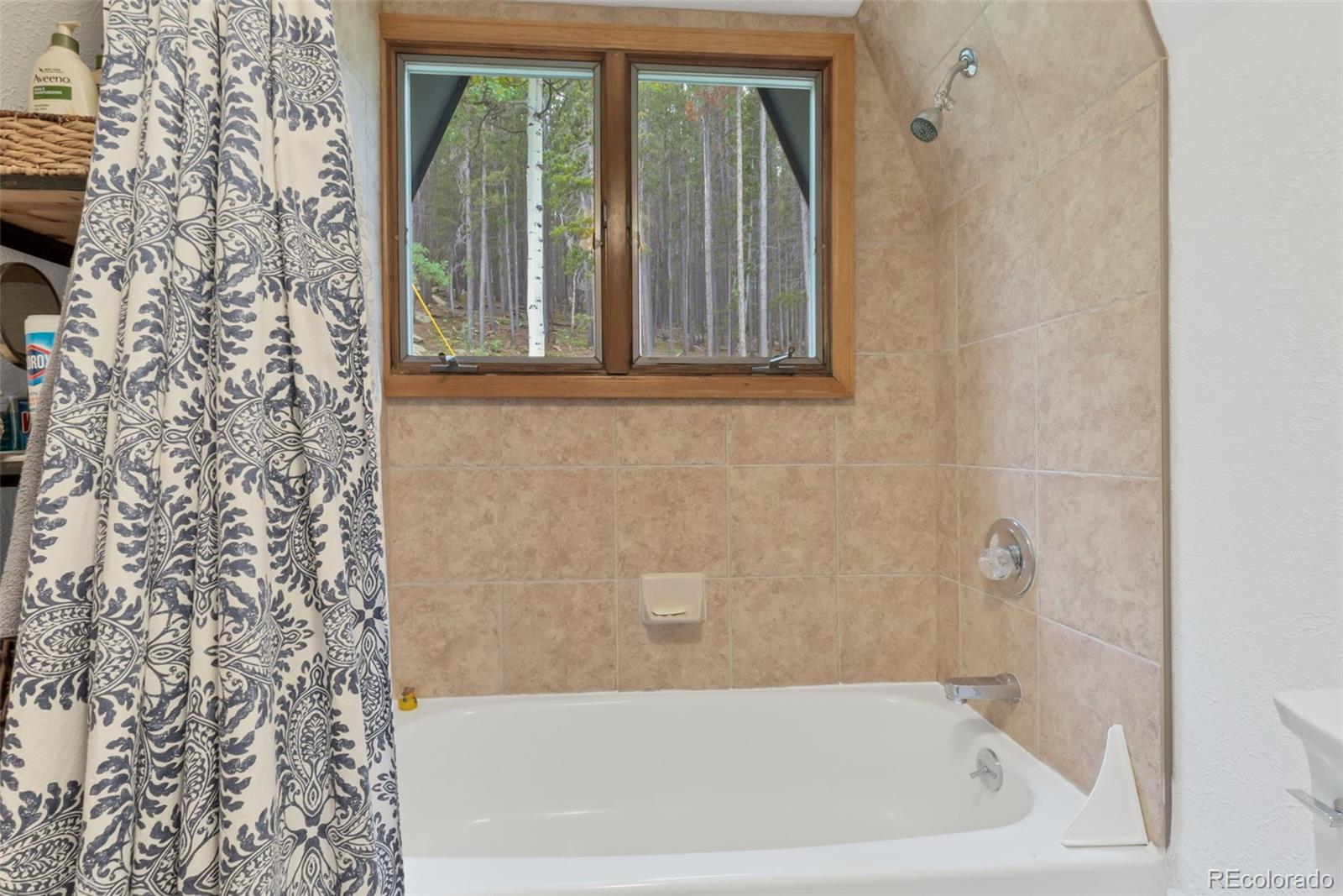 MLS Image #23 for 509  paiute road,evergreen, Colorado