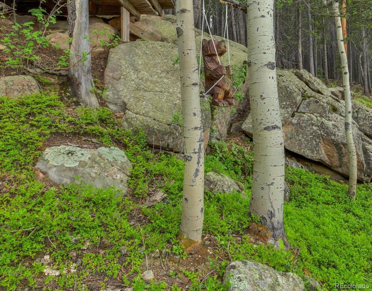 MLS Image #39 for 509  paiute road,evergreen, Colorado