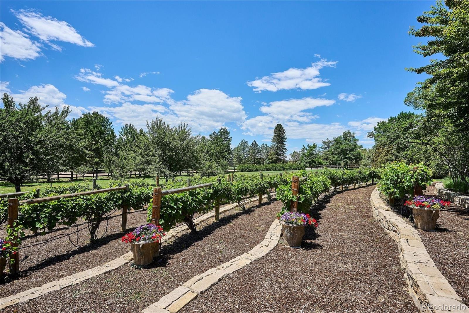MLS Image #20 for 12  lynn road,cherry hills village, Colorado