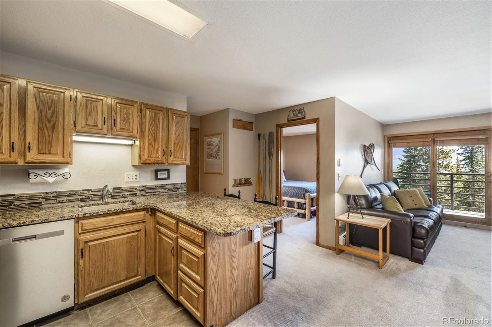 MLS Image #10 for 89410  ryan gulch road,silverthorne, Colorado