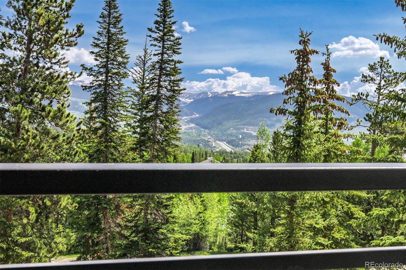 MLS Image #19 for 89410  ryan gulch road,silverthorne, Colorado