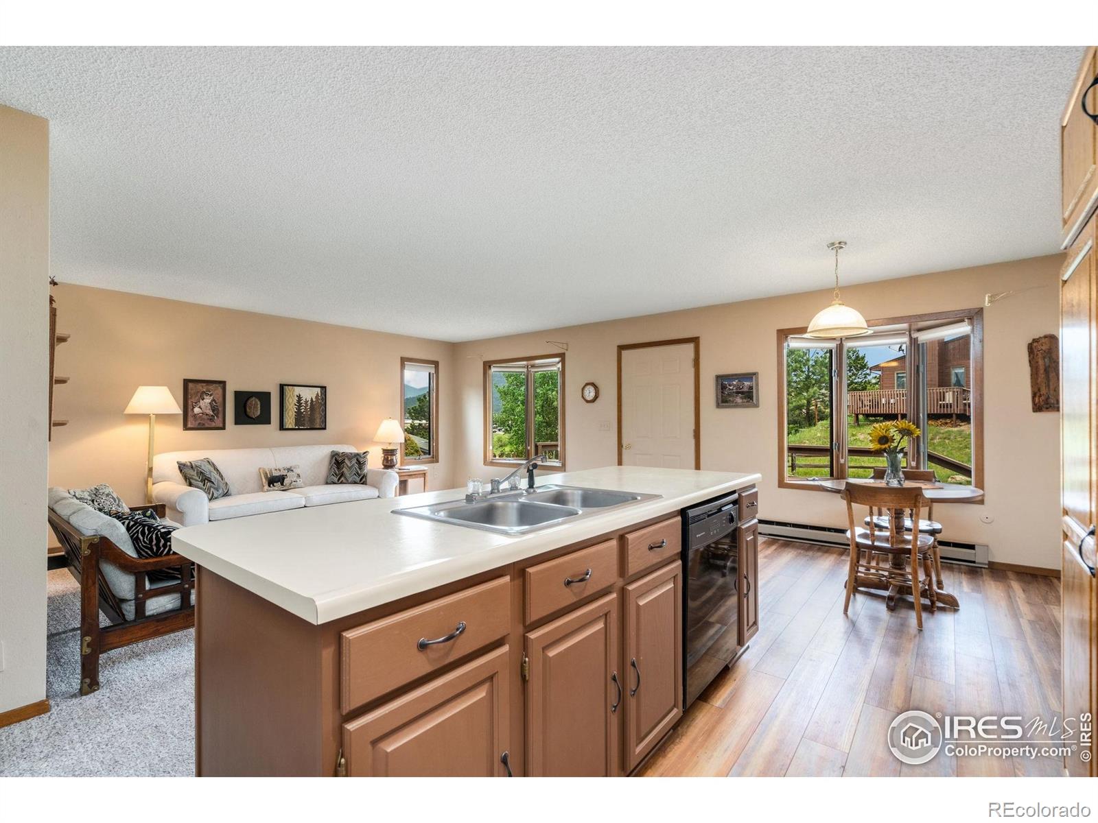 MLS Image #12 for 1795  olympian lane,estes park, Colorado