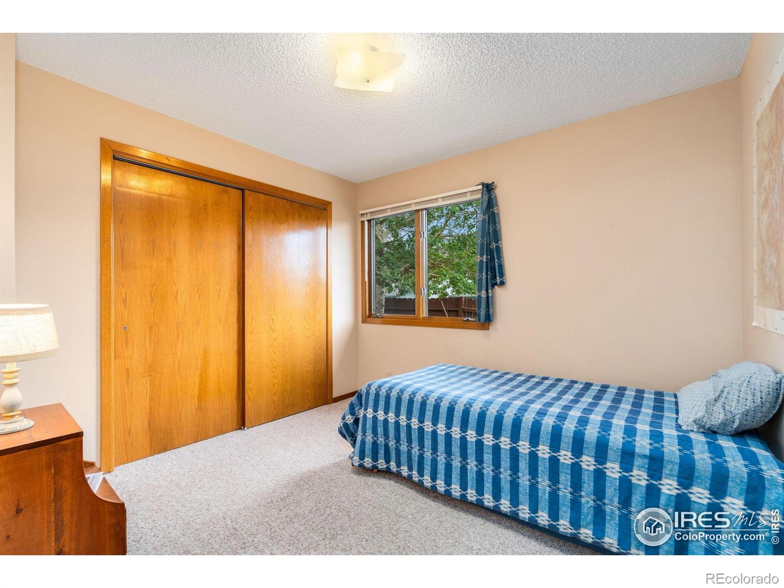 MLS Image #16 for 1795  olympian lane,estes park, Colorado