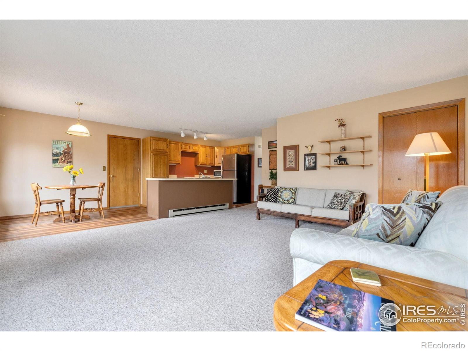 MLS Image #5 for 1795  olympian lane,estes park, Colorado