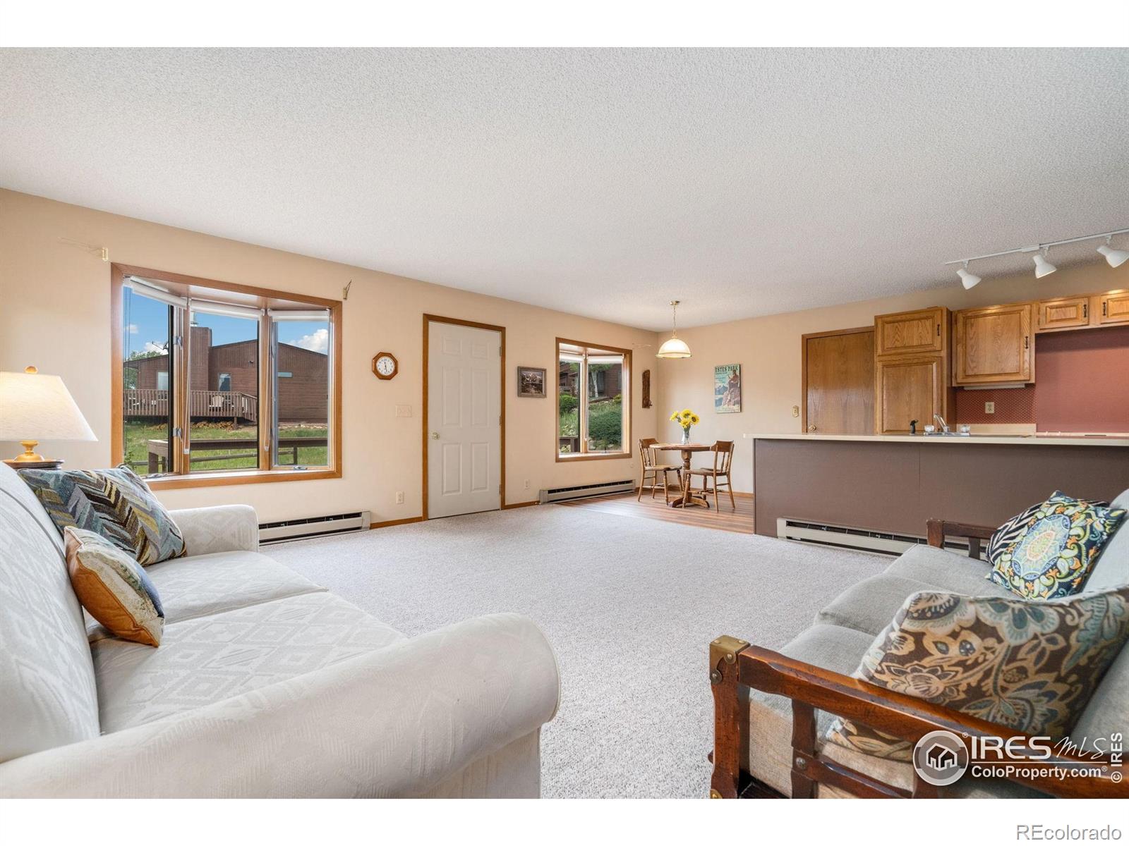 MLS Image #6 for 1795  olympian lane,estes park, Colorado