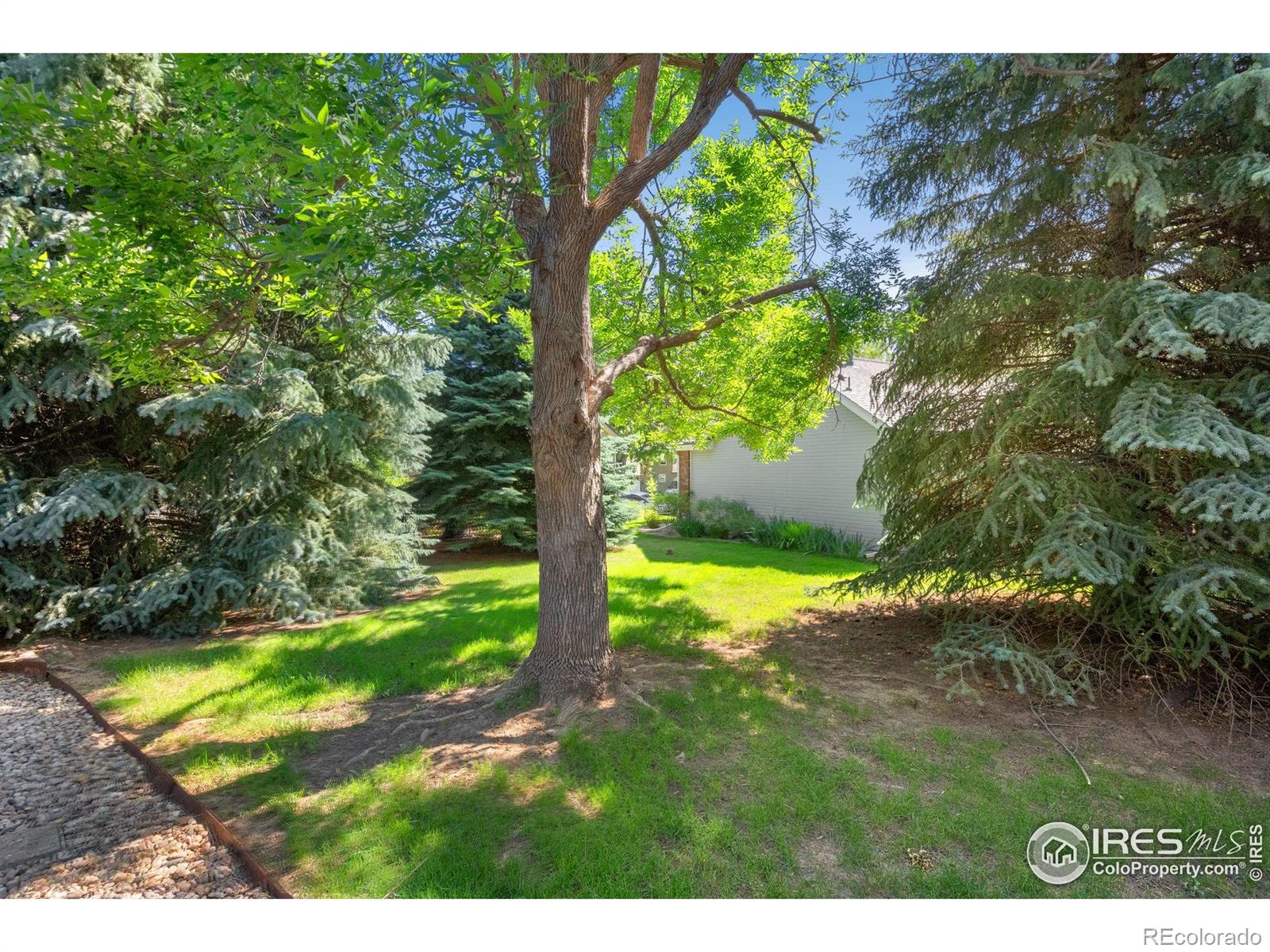 MLS Image #38 for 1274  stoney hill drive,fort collins, Colorado