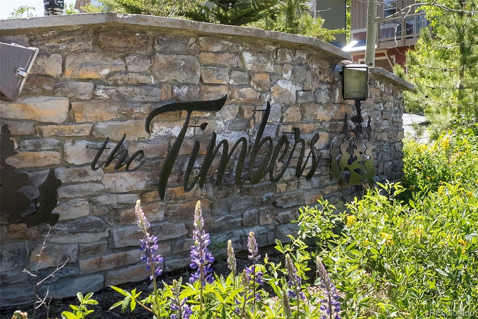 MLS Image #30 for 410  county road 8342 ,fraser, Colorado