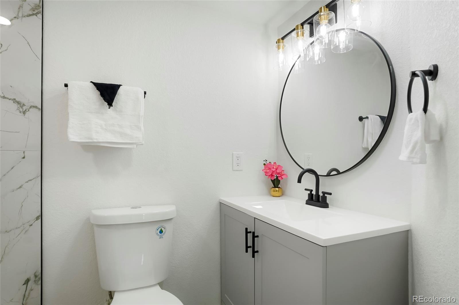 MLS Image #5 for 8701  huron street,thornton, Colorado