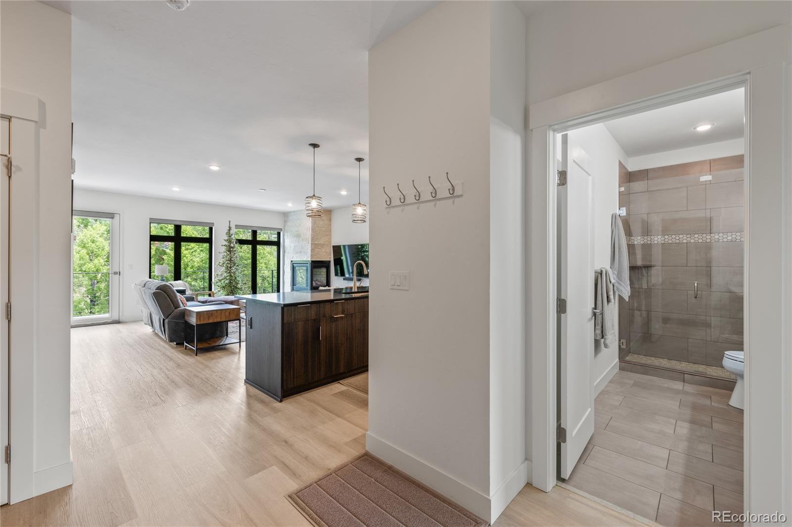 MLS Image #21 for 930  blue river parkway,silverthorne, Colorado