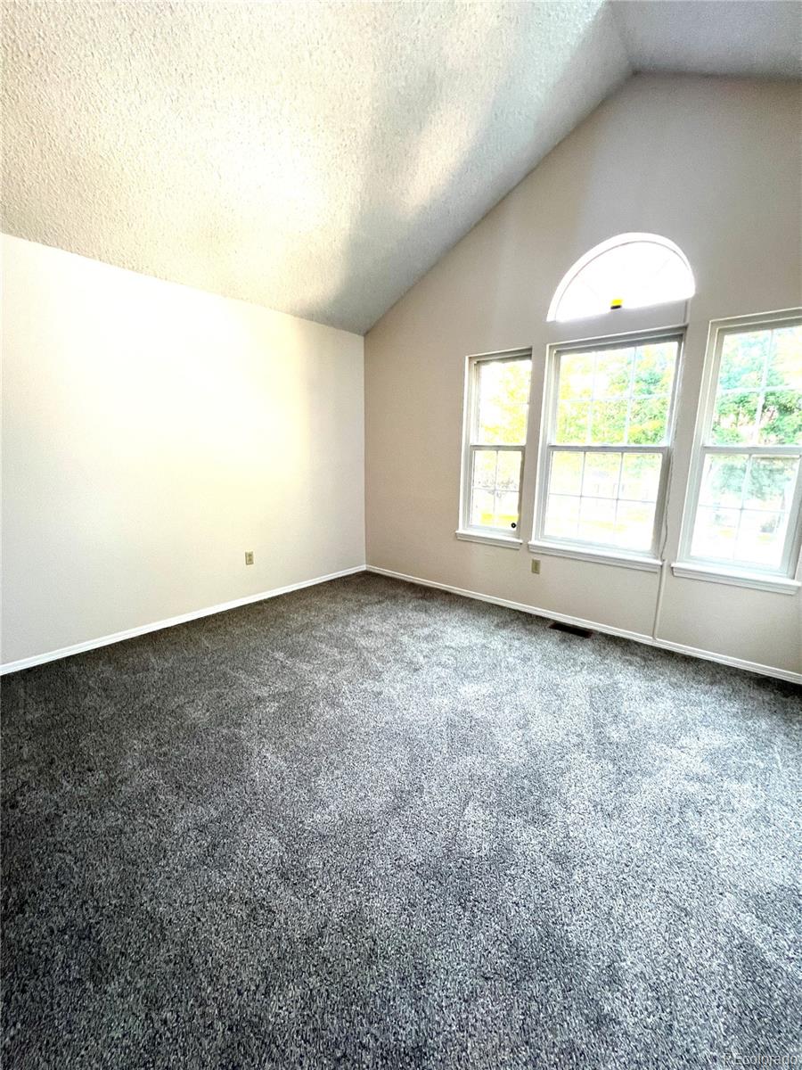 MLS Image #10 for 1240 s flower circle,lakewood, Colorado