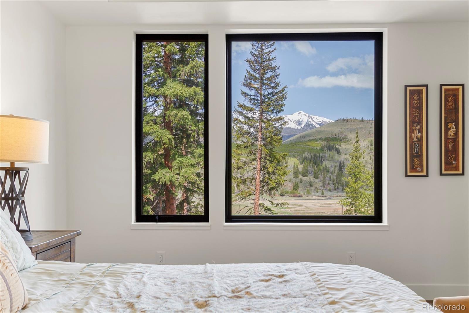 MLS Image #16 for 581  fairview boulevard,breckenridge, Colorado