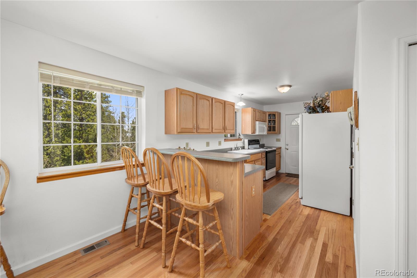 MLS Image #10 for 266  gap road,black hawk, Colorado