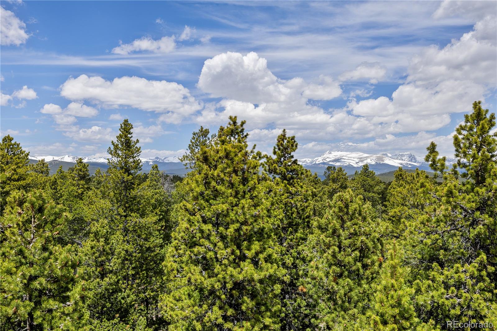 MLS Image #20 for 266  gap road,black hawk, Colorado