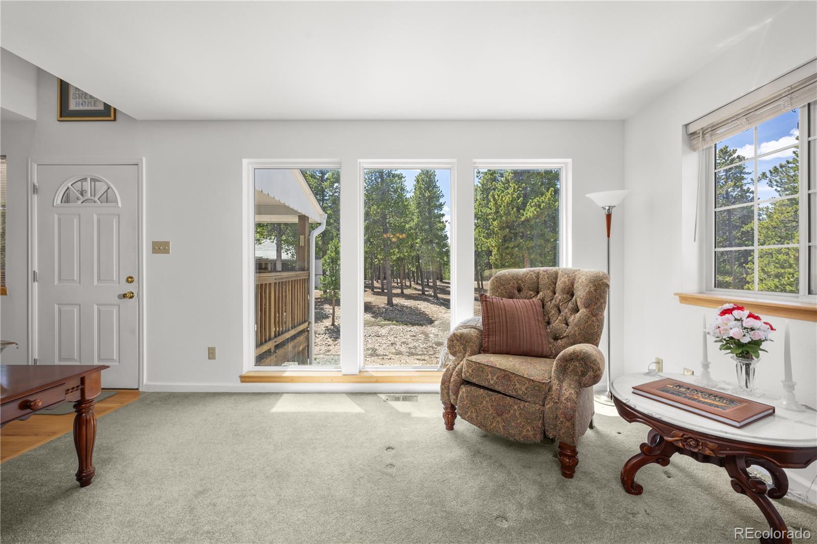 MLS Image #7 for 266  gap road,black hawk, Colorado