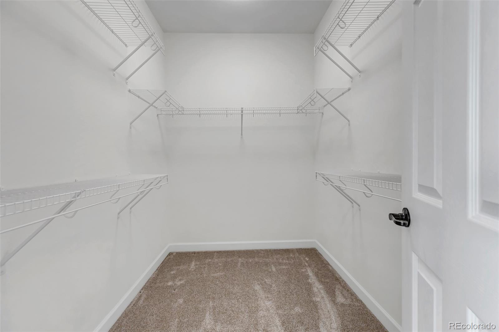 MLS Image #19 for 4032  donnington circle,castle rock, Colorado