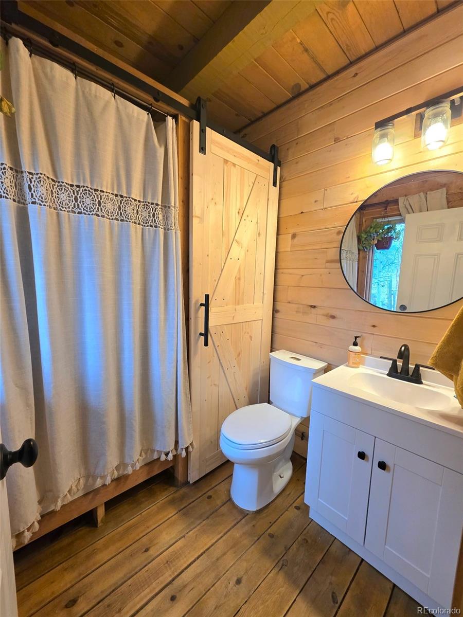 MLS Image #11 for 253  bear lane,jefferson, Colorado