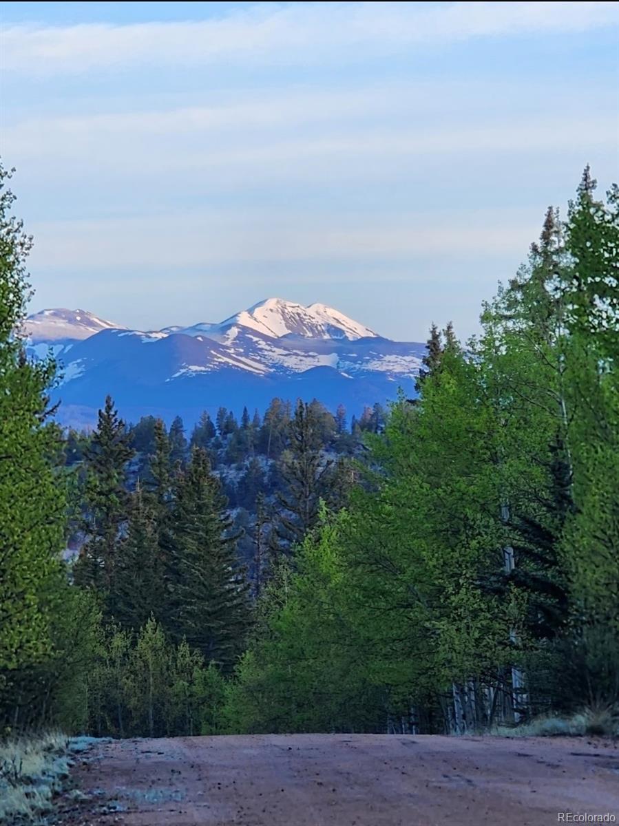 MLS Image #19 for 253  bear lane,jefferson, Colorado