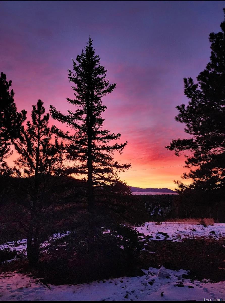 MLS Image #20 for 253  bear lane,jefferson, Colorado