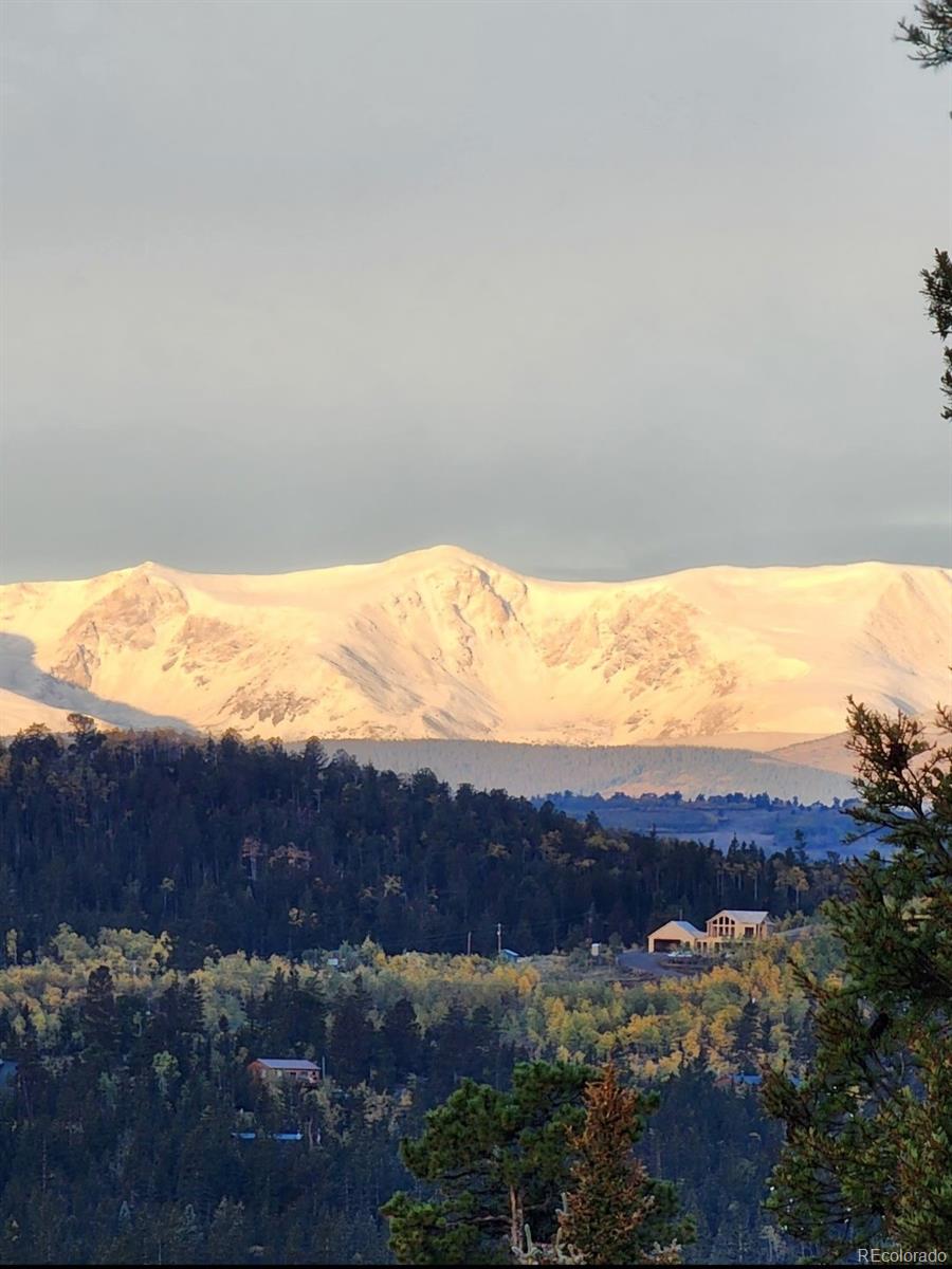 MLS Image #21 for 253  bear lane,jefferson, Colorado